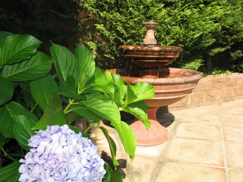 Casablanca Bed And Breakfast Стелленбос Экстерьер фото